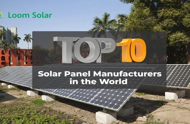 The World’s Top 10 Solar Panel Companies in 2024